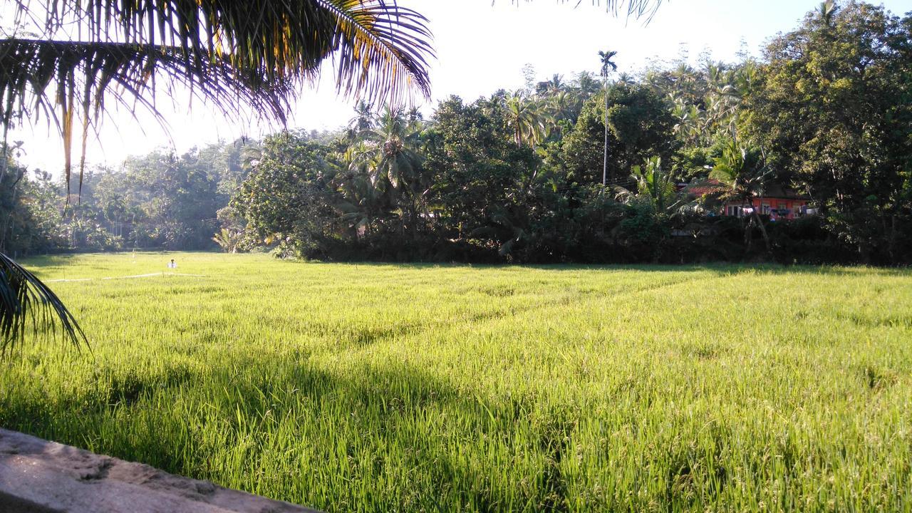 Villa Paddy Fields View 미리사 외부 사진